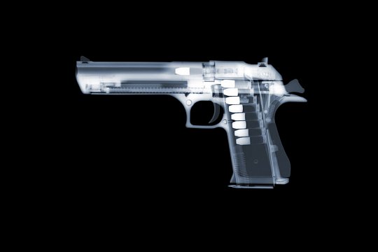 Click image for larger version

Name:	An-X-ray-of-a-Desert-Eagle-50-by-British-artist-Nick-Veasey-2482780.jpg
Views:	37
Size:	34.0 KB
ID:	37087