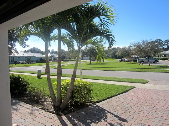 Click image for larger version

Name:	front yard 1.jpg
Views:	161
Size:	234.7 KB
ID:	40232