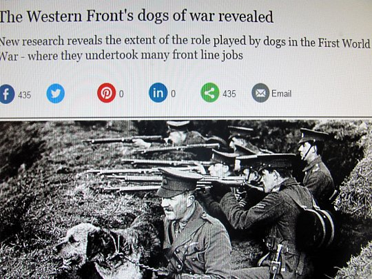 Click image for larger version

Name:	trench dogs 001.jpg
Views:	47
Size:	223.4 KB
ID:	60065