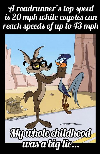 Click image for larger version

Name:	wily-e-coyote-and-roadrunner.jpg
Views:	80
Size:	73.0 KB
ID:	66908