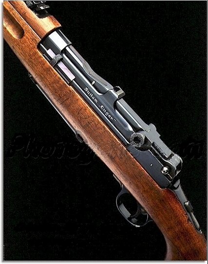 Click image for larger version

Name:	lugerrifle.jpg
Views:	31
Size:	146.4 KB
ID:	17791