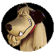 grumpy429's Avatar