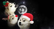 threedogs's Avatar