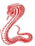 Ratsnake's Avatar