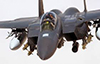 F15E_WSO's Avatar